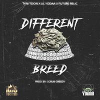 Different Breed (feat. Lil Yodaa & Future Relic)