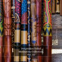 Didgeridoo Tribal Meditation Collection, Vol. 03