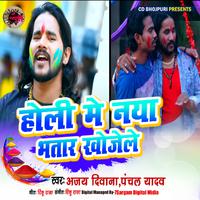 Holi Me Naya Bhatar Khojele - Single