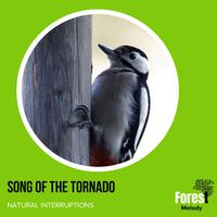 Song of the Tornado - Natural Interruptions