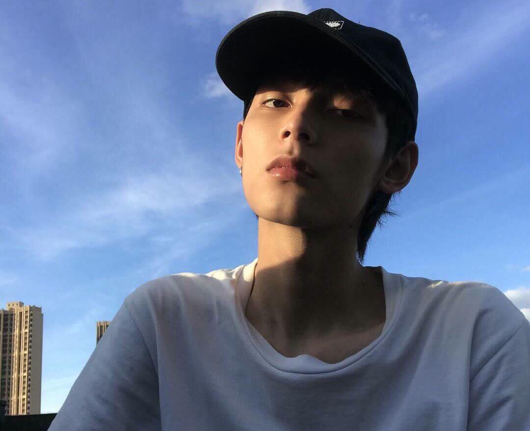 种一捧玫瑰