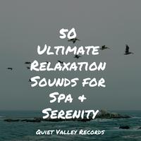 50 Ultimate Relaxation Sounds for Spa & Serenity