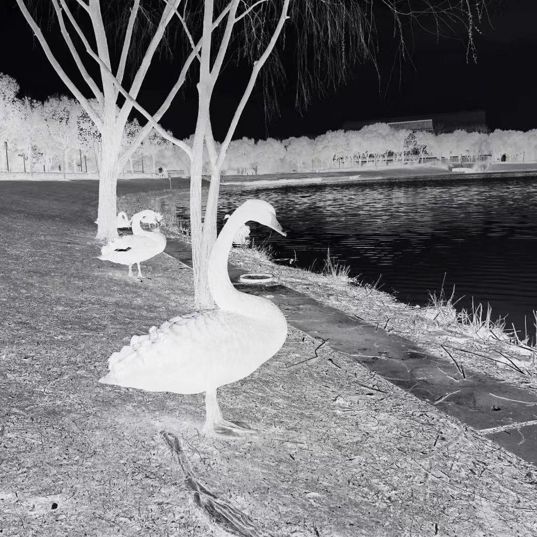 章节一：新章 - 新章