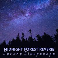 Midnight Forest Reverie: Serene Sleepscape