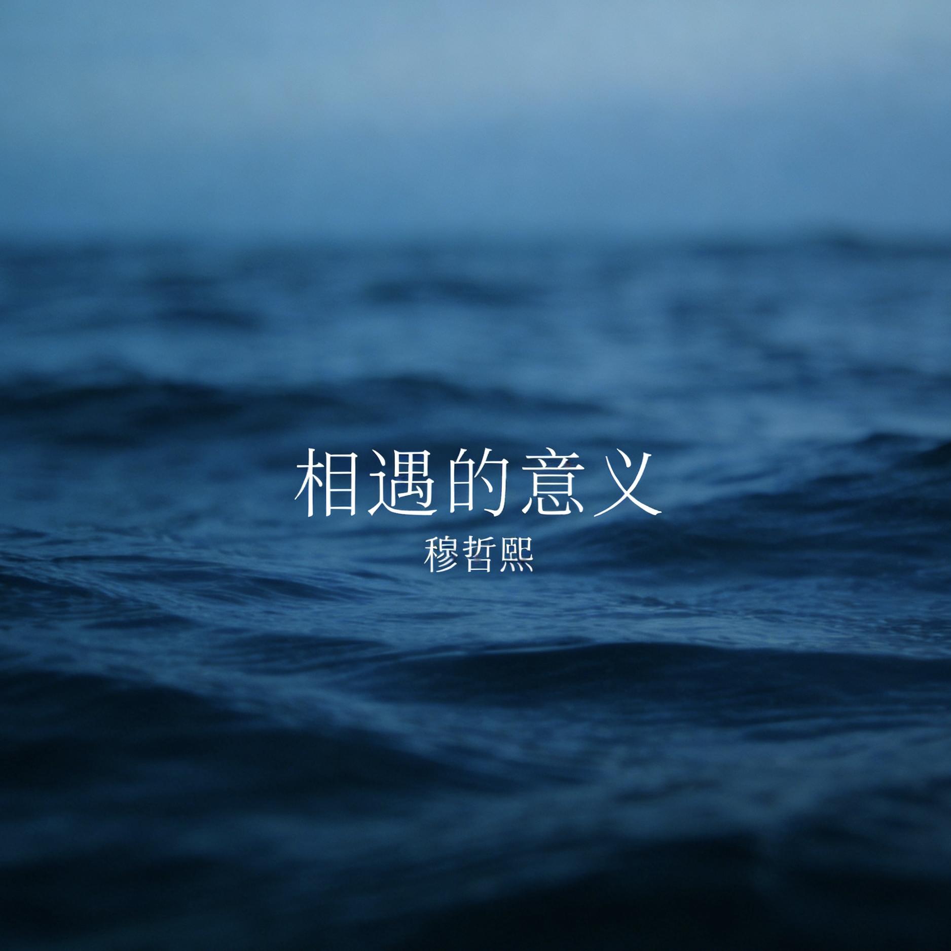 相遇的意义封面
