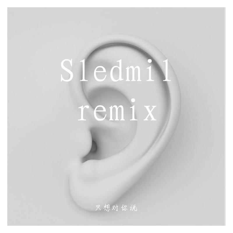 掌嘴-只想对你说（Sledmil remix）封面