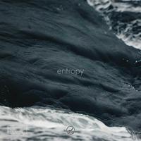 Entropy