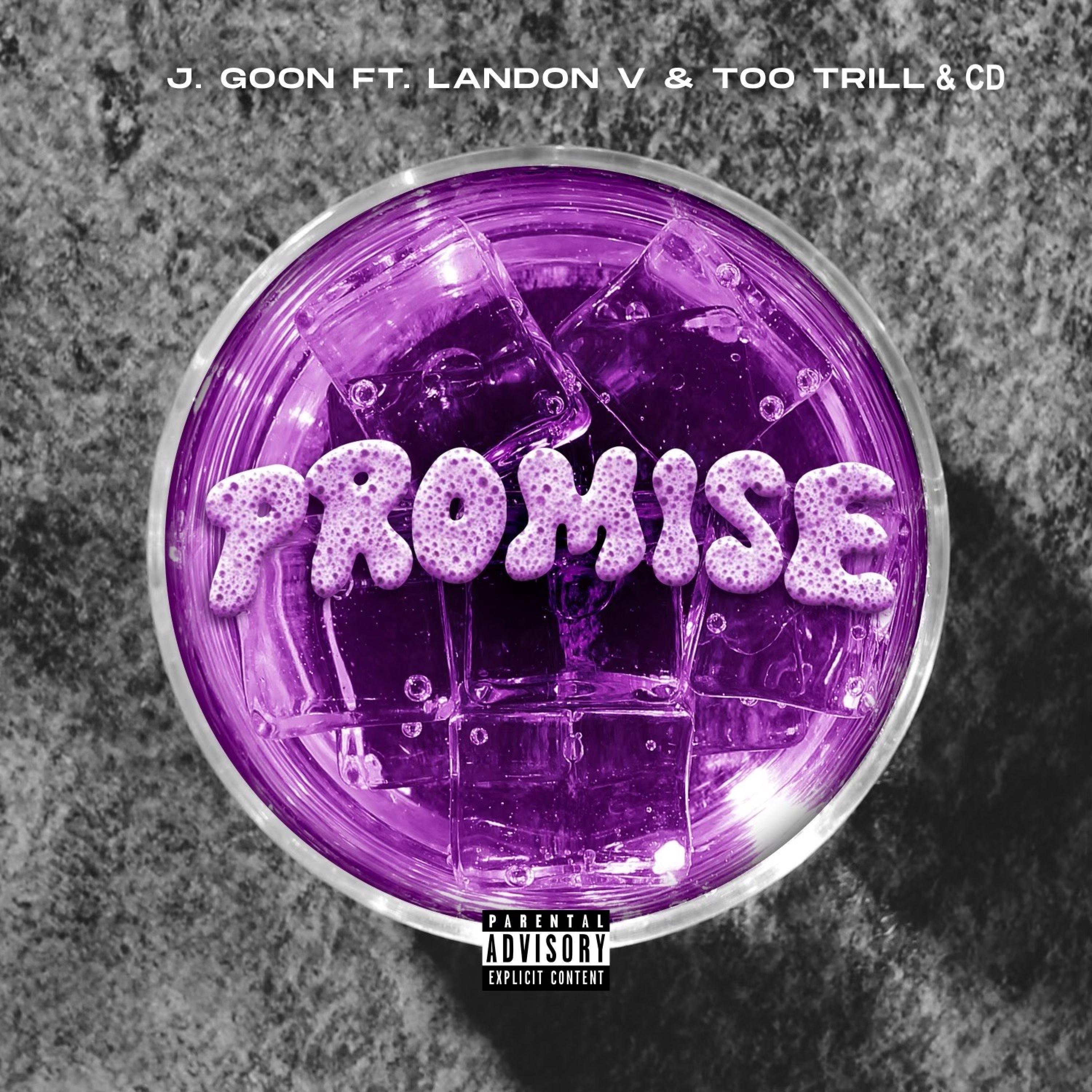 Promise (feat. Landon V, TooTrill & CD)