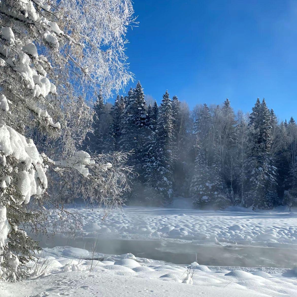 Freeout（Ft.L2Young）