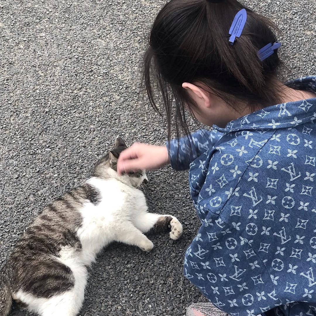 勉为其难-热门语录