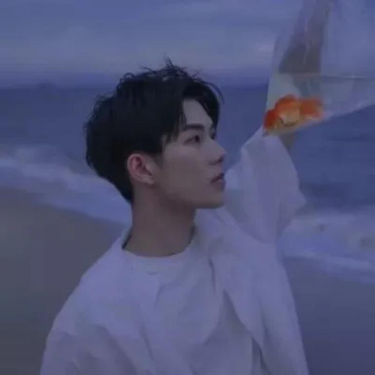 我不看月亮封面