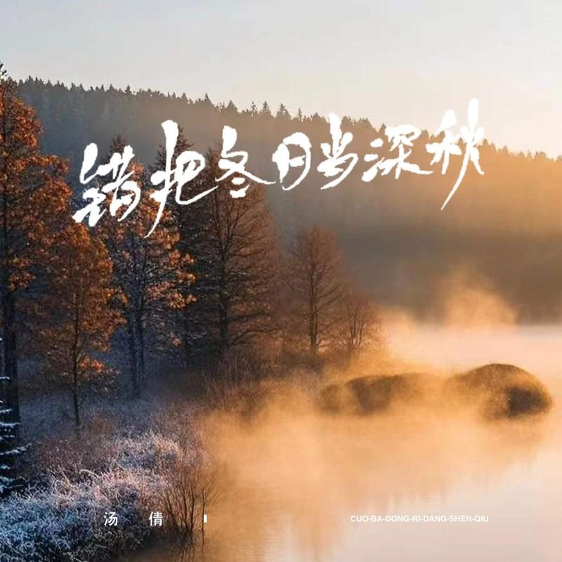 错把冬日当深秋 (DJ九零版)封面