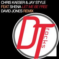 Let Me Be Free (David Jones Remix)