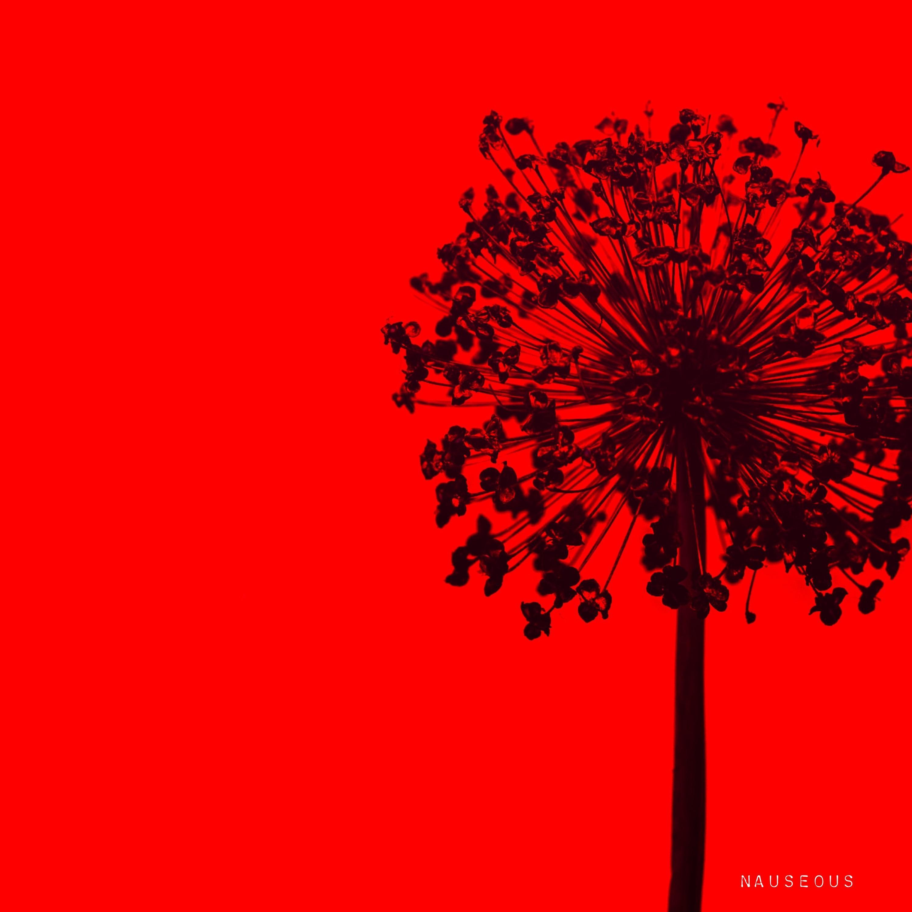 Nauseous (feat. Wakeup)