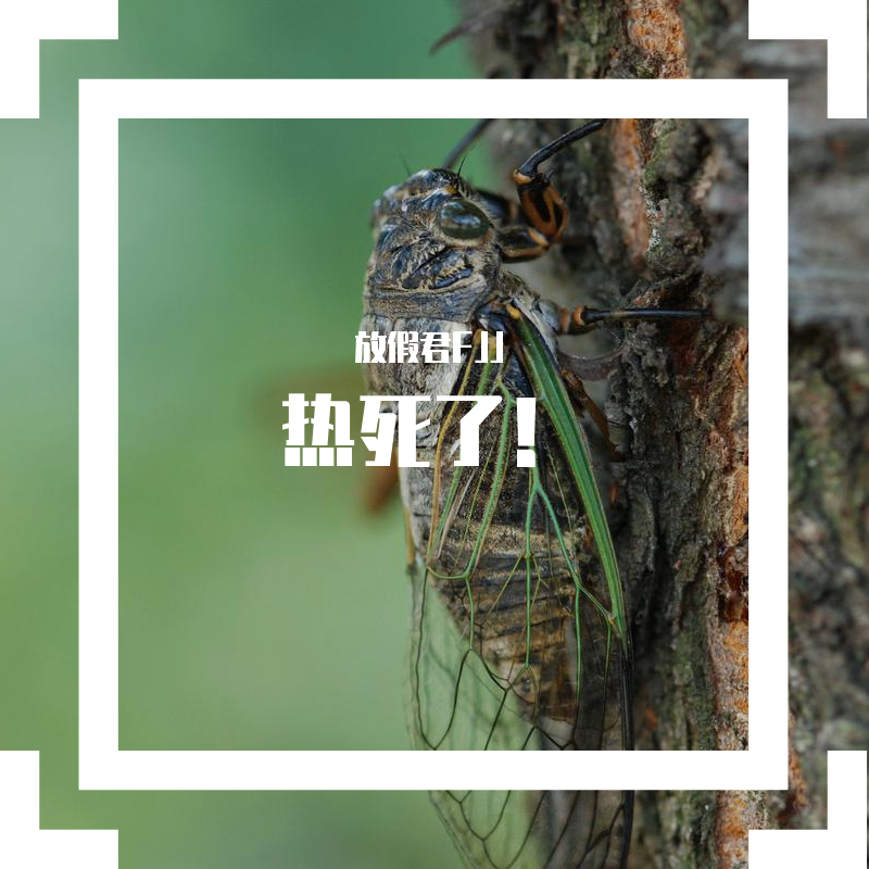 热死了！（辣你开空调啊~）封面