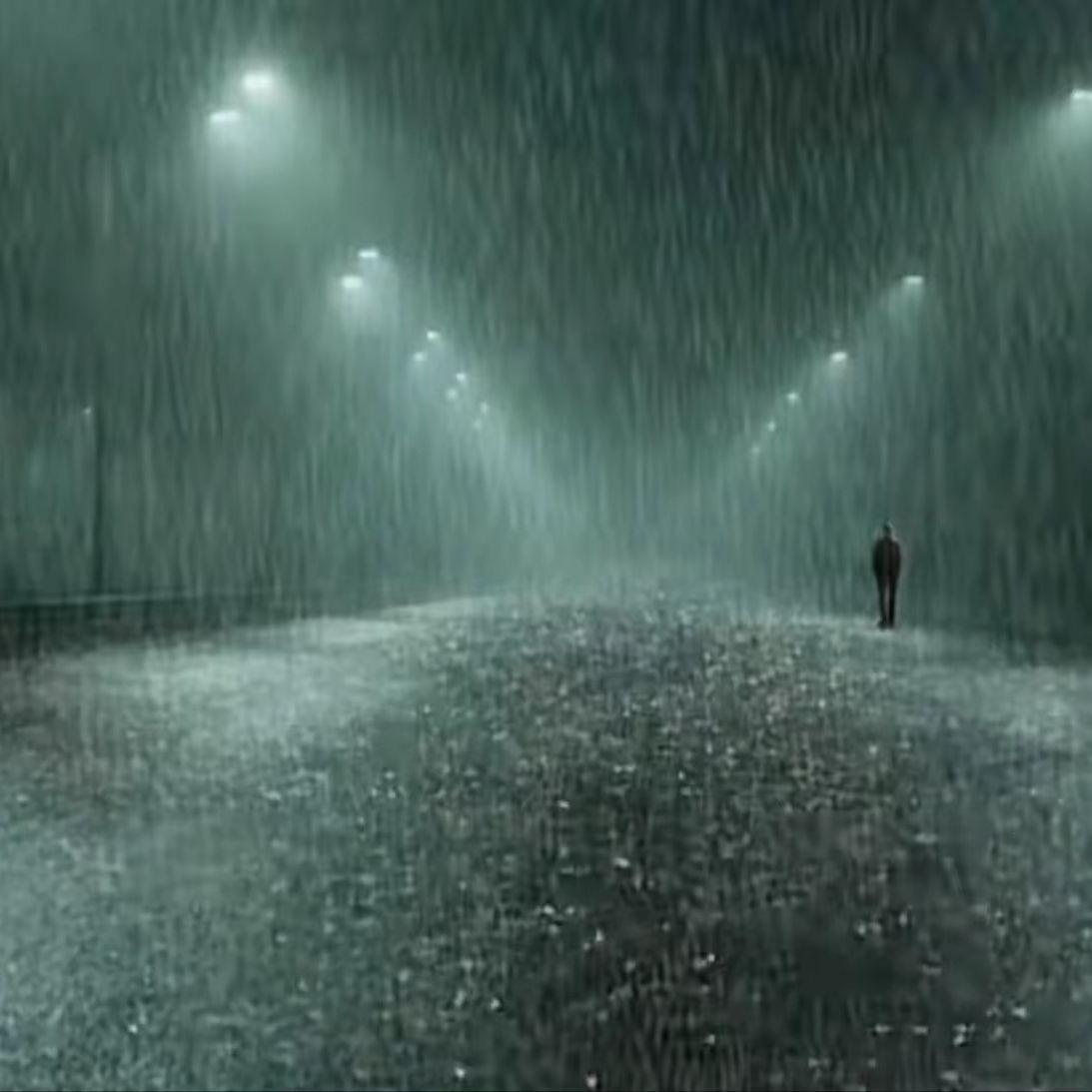 暴雨封面
