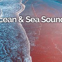 Ocean & Sea Sounds