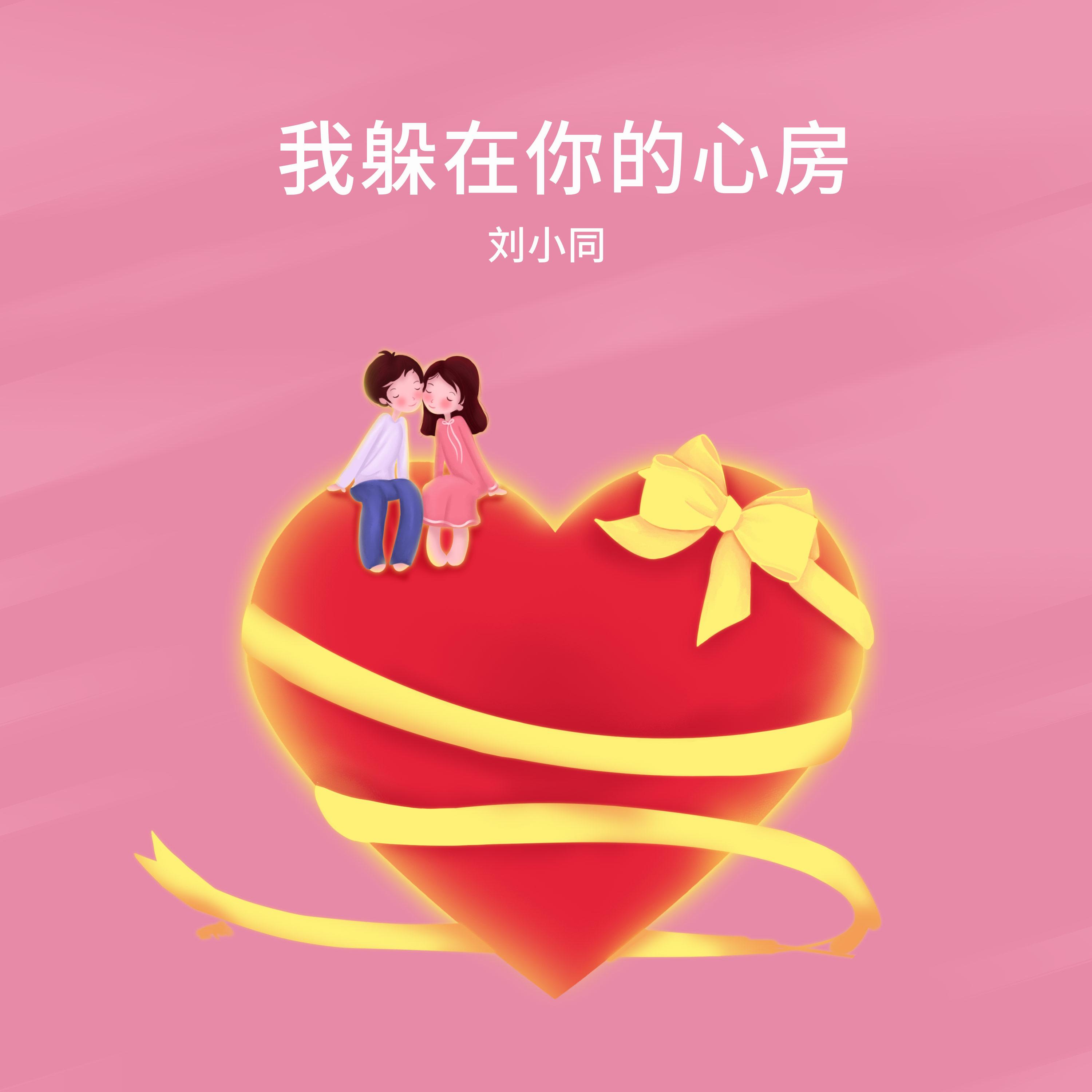 夏天的风 (伴奏) - 刘小同封面