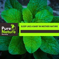 Sleep Like a Baby in Mother Nature