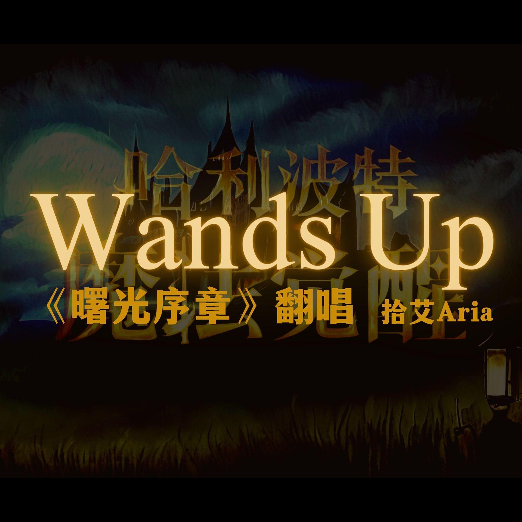 Wands Up《曙光序章》（翻自 哈利波特魔法觉醒）封面