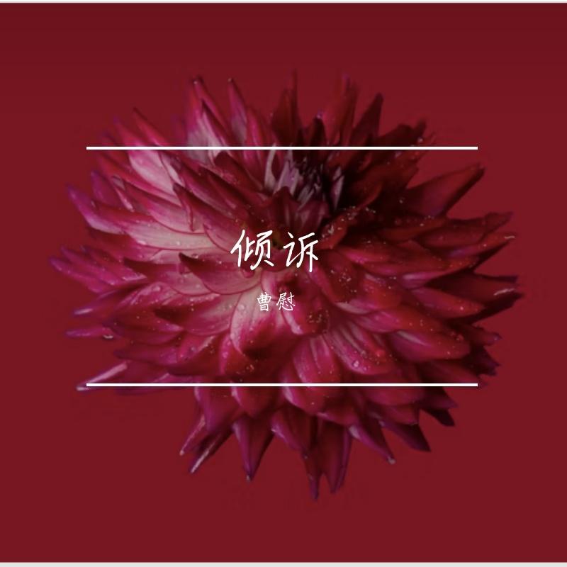 爱上你失去你封面