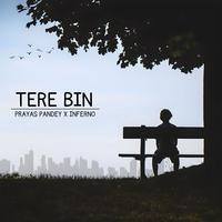 TERE BIN