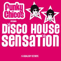 Funky Chicos present Disco House Sensation