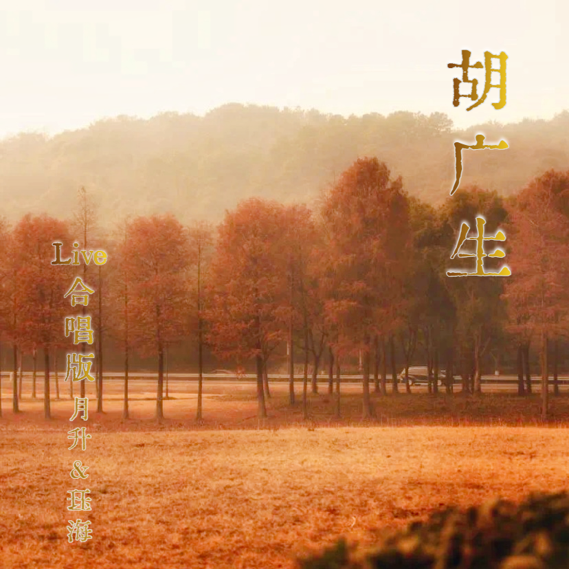 胡广生封面