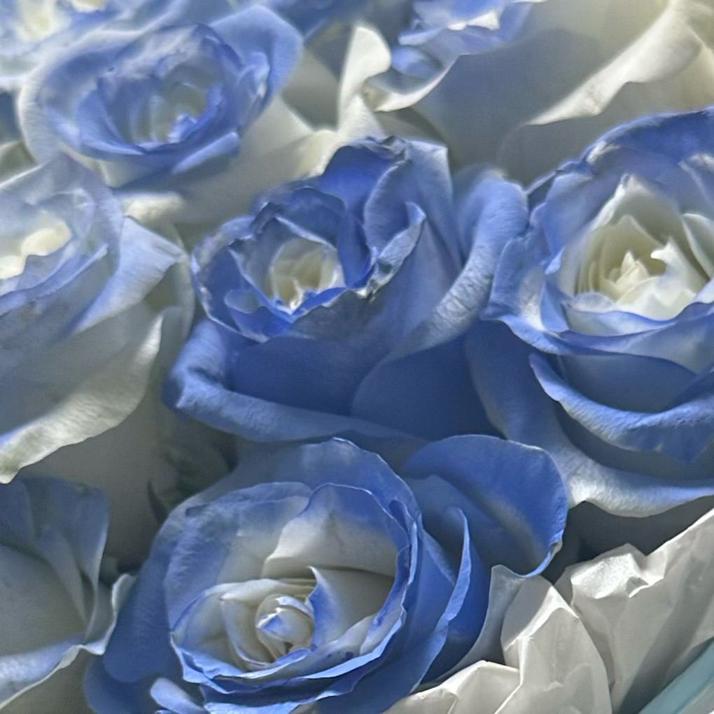 想爱（prod by BECU BEATZ）