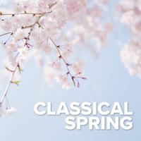 Classical Spring