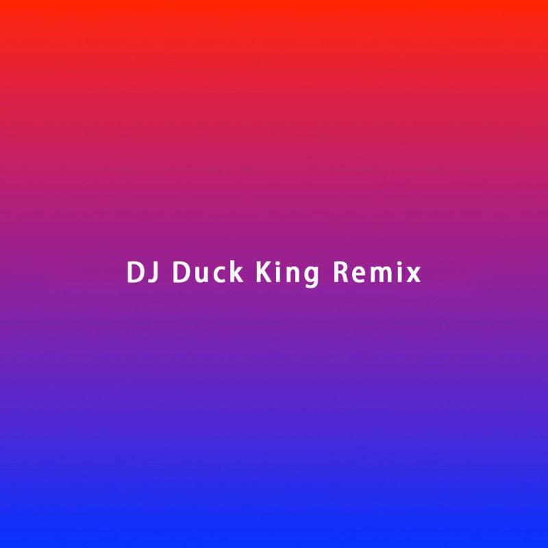 extended Mix-这是一次测试(DJDuck King Remix)（DJ Duck King Remix）封面