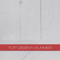 Top Zebra Summer