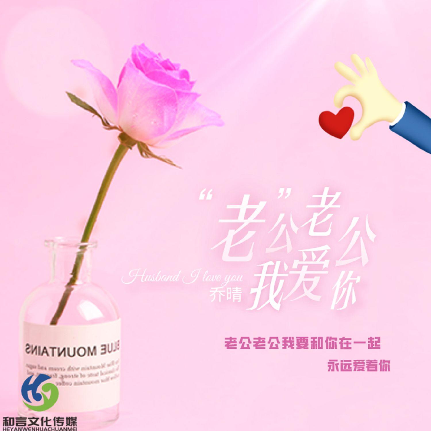 老公老公我爱你封面