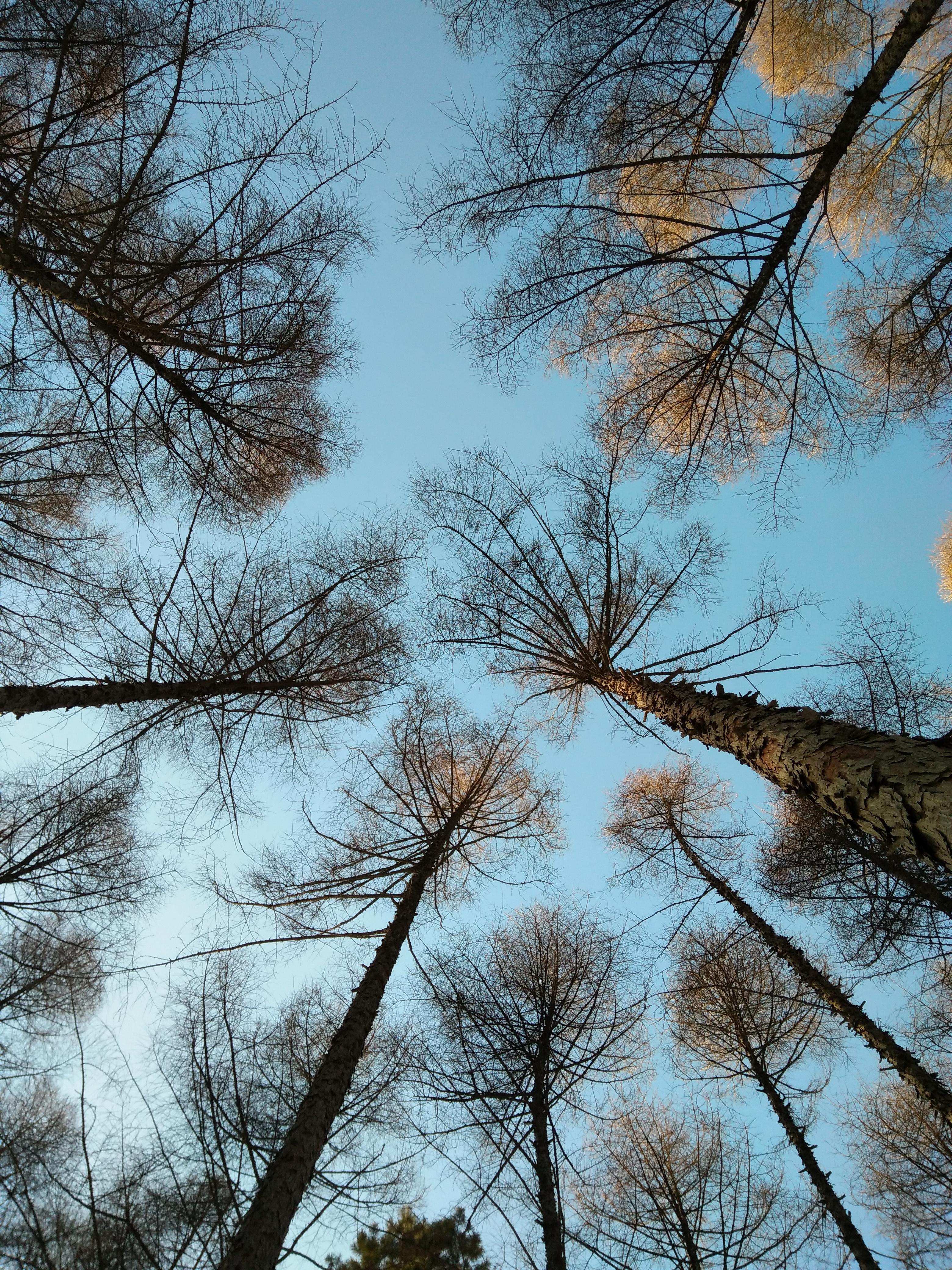 咏青春_秋野_咏青春 | 在线播放_咏青春歌词_咏青春下载 | 网易云音乐