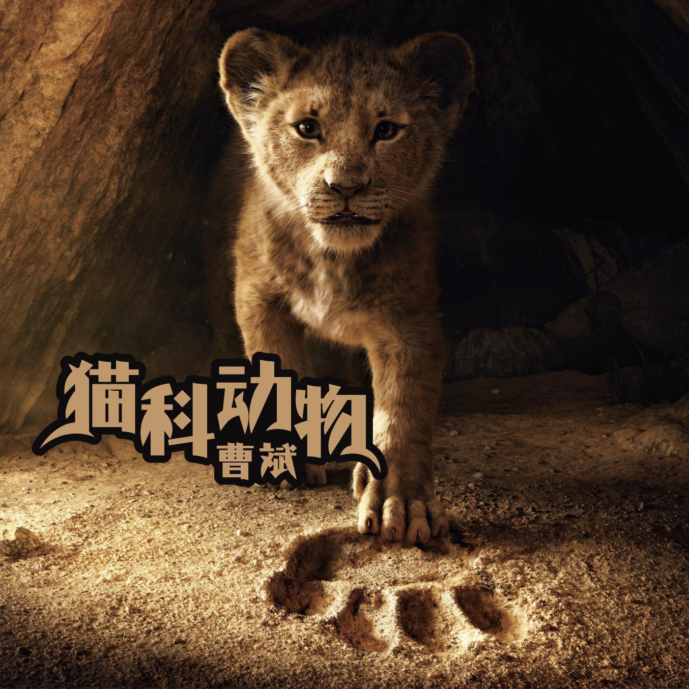 你不会了解封面