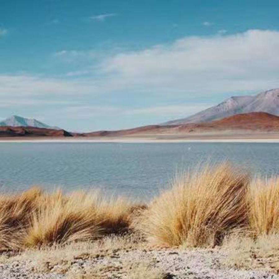 黄安-新鸳鸯蝴蝶梦（白衣儒相 remix）