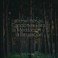 40 Hermosas Canciones Para la Meditación y la Relajación