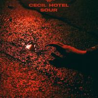 Cecil Hotel
