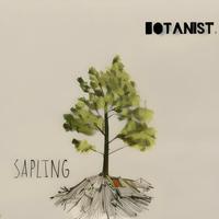 Sapling