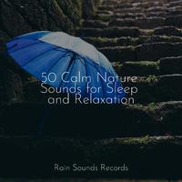 50 Calm Nature Sounds for Sleep and Relaxation