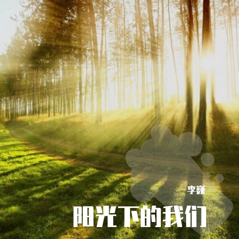 阳光下的我们封面