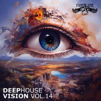 Deephouse Vision, Vol. 14