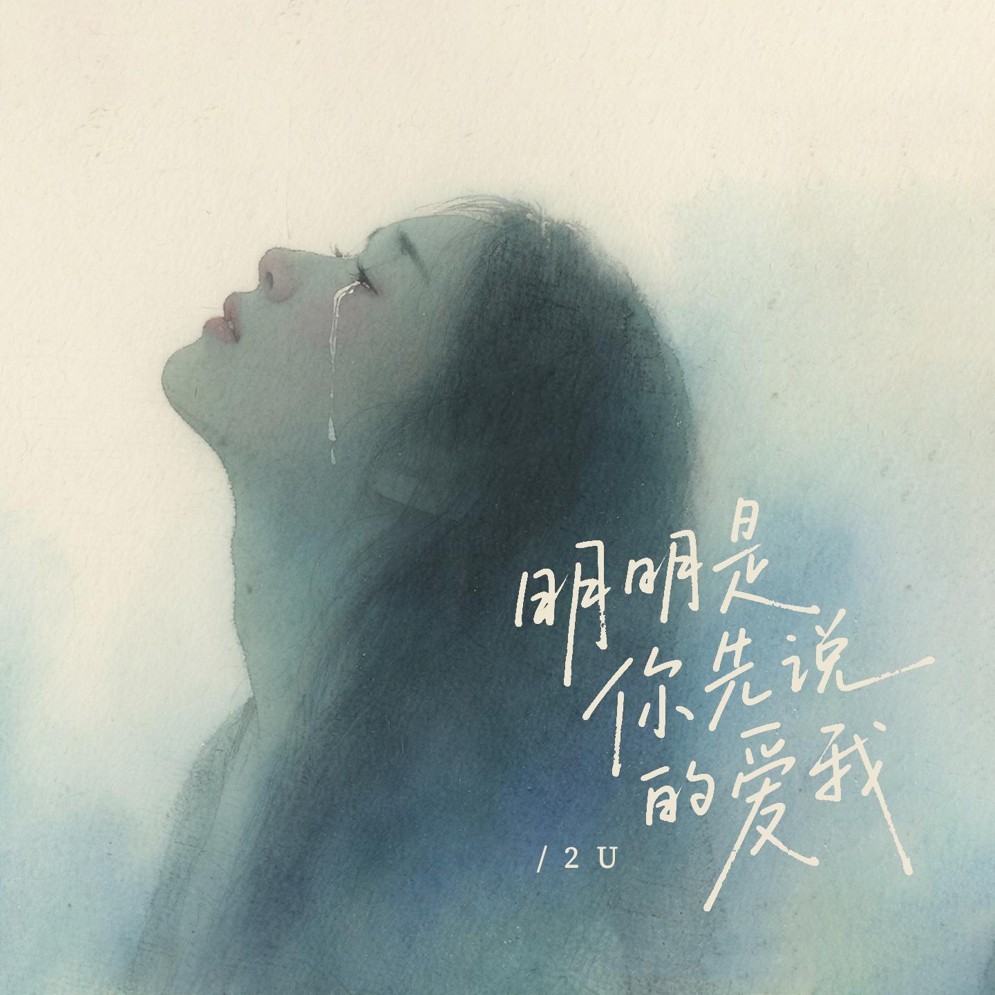 明明是你先说的爱你封面