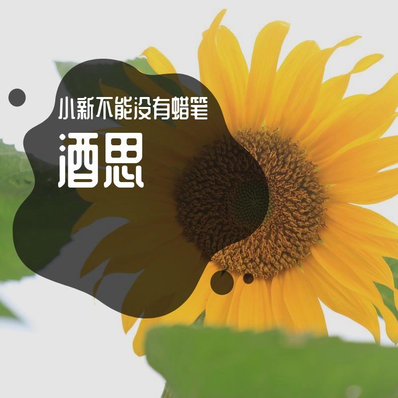 红色的高跟鞋封面