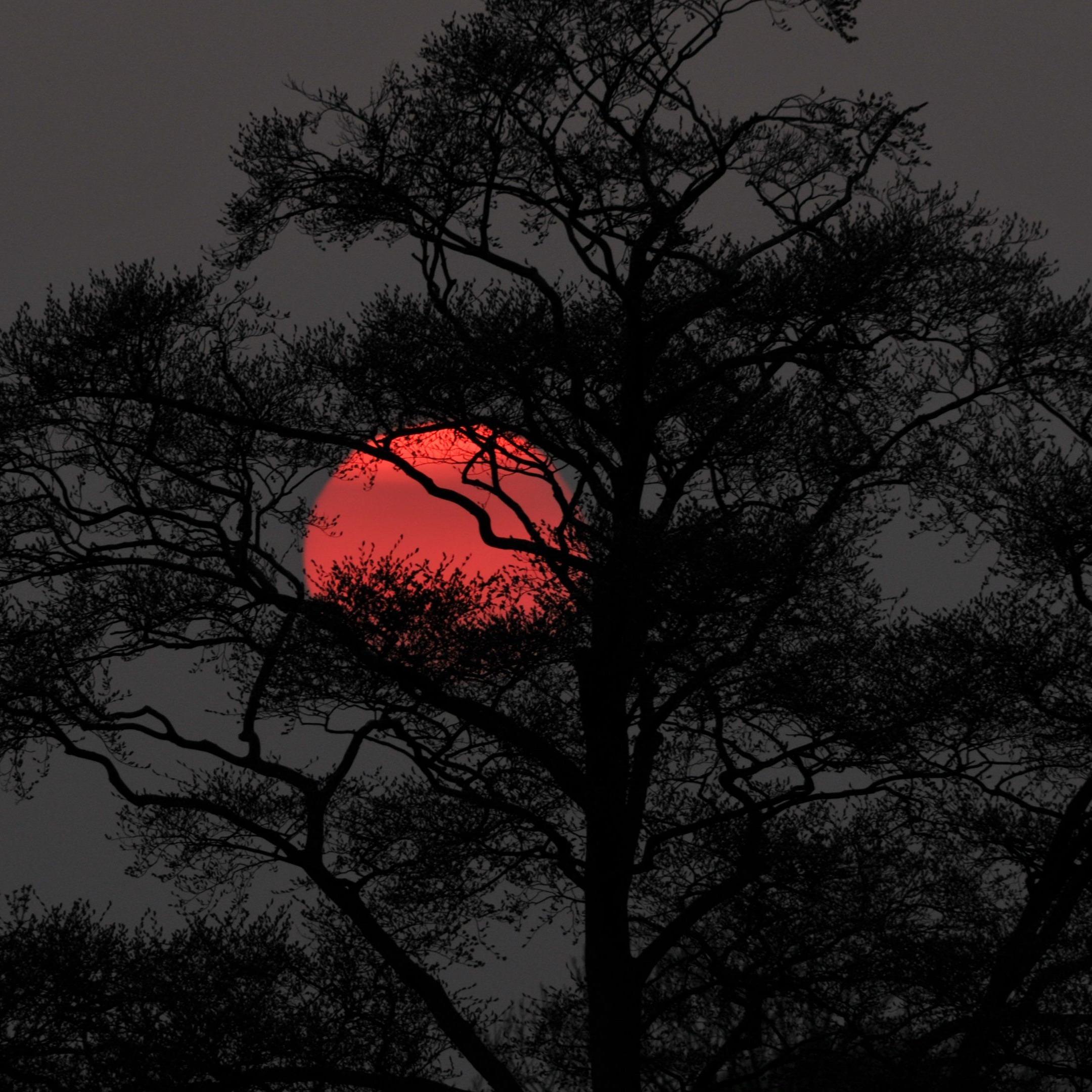 Melting Lofi (Remix)