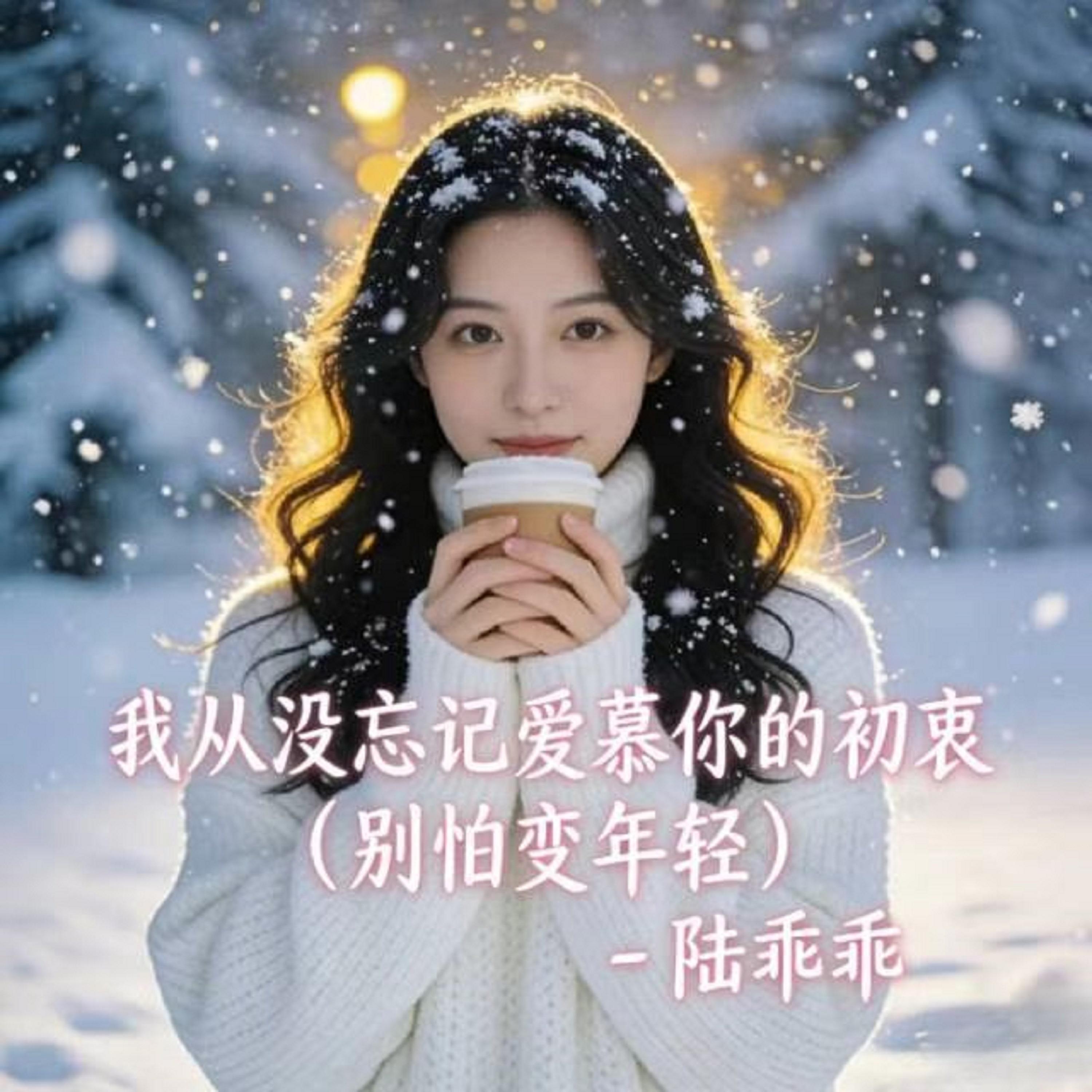 我从没忘记爱慕你的初衷 (DJ版)封面