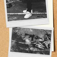 Crime Scene