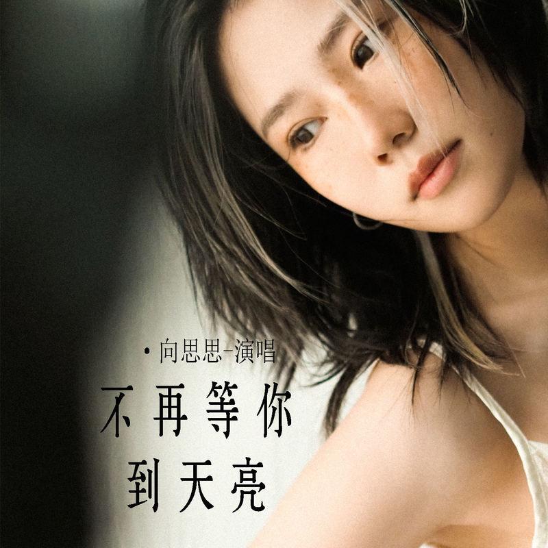 不再等你到天亮 (伴奏)封面