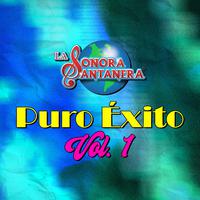 Puro Éxito Vol. 1