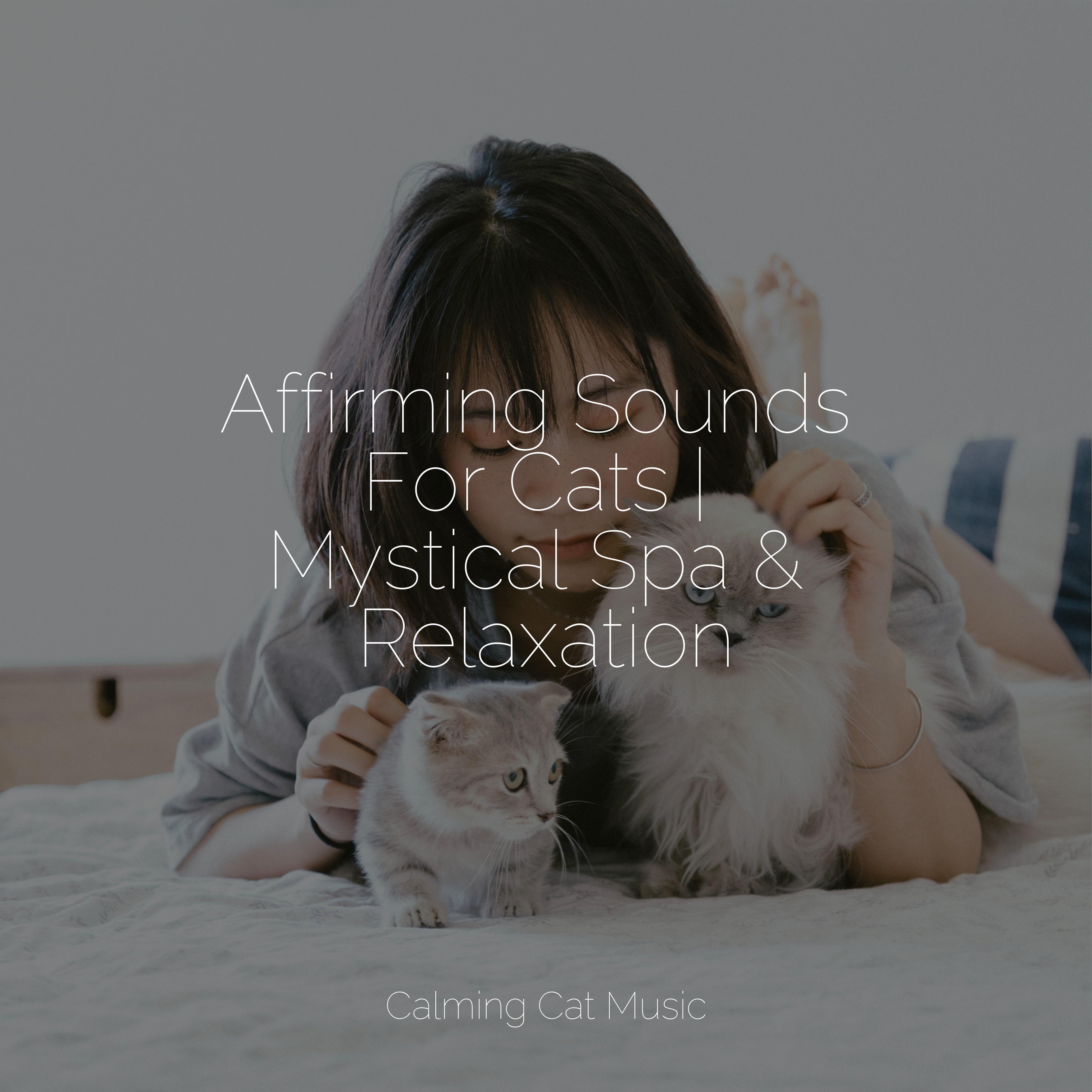 Photo inspiration: Visual Reference: Reiki Healing Music For Cats Cat Music Experience Cats Music